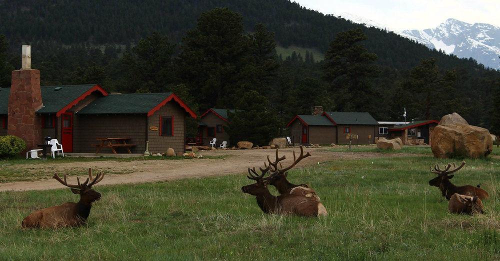 Tiny Town Cabins Estes Park Exteriör bild